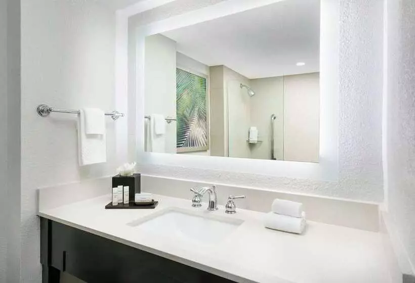 سوئیت با تخت بزرگ, Embassy Suites By Hilton Los Angeles Downey