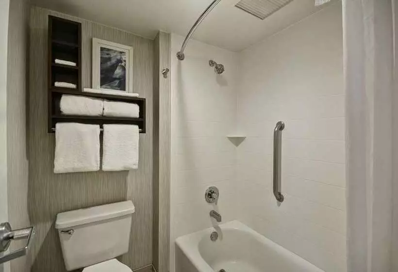 سوئیت با تخت بزرگ, Embassy Suites By Hilton Los Angeles Downey