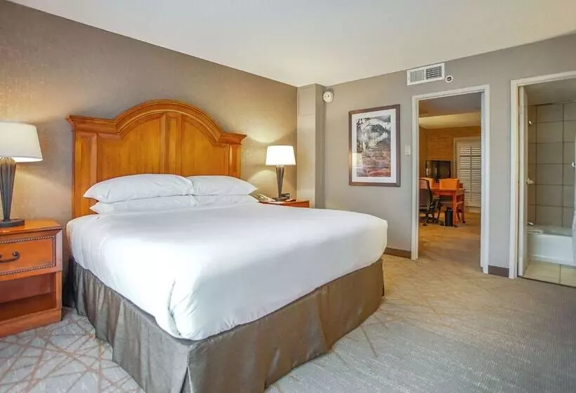スイート, Embassy Suites By Hilton San Antonio Nw I10