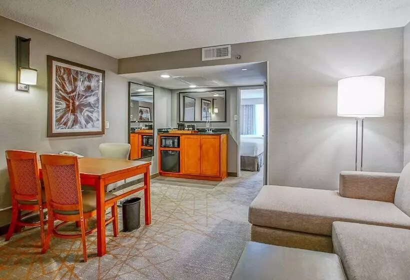 スイート, Embassy Suites By Hilton San Antonio Nw I10