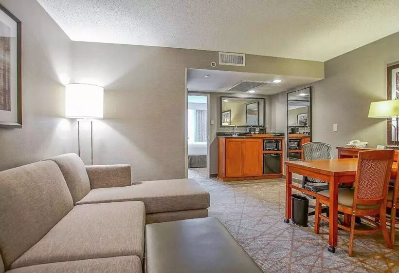 スイート, Embassy Suites By Hilton San Antonio Nw I10