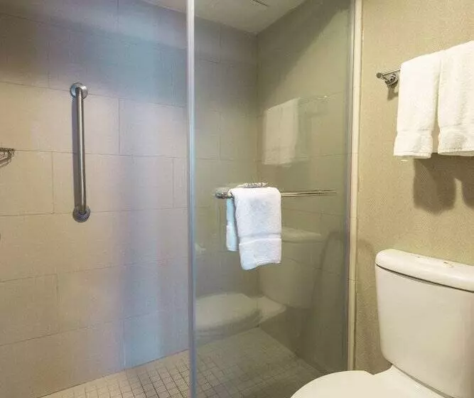 スイート, Embassy Suites By Hilton San Antonio Nw I10