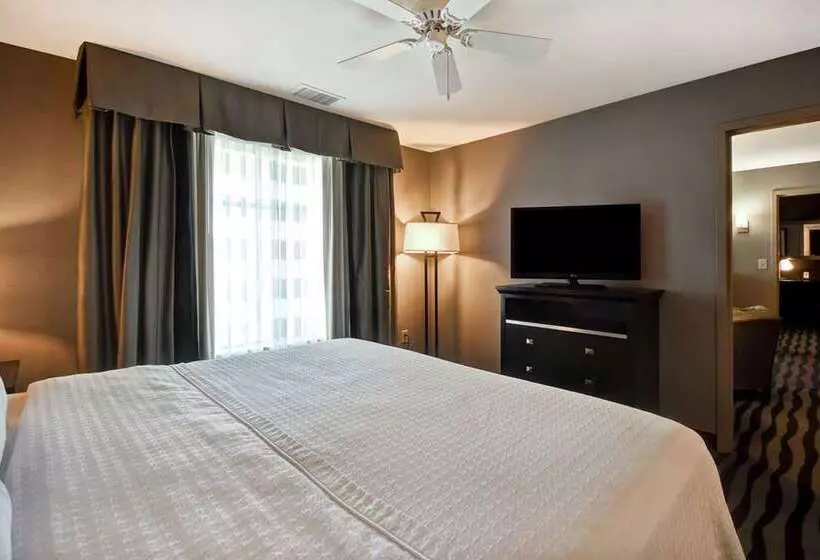 ２ベッドスイートルーム, Embassy Suites By Hilton San Antonio Nw I10