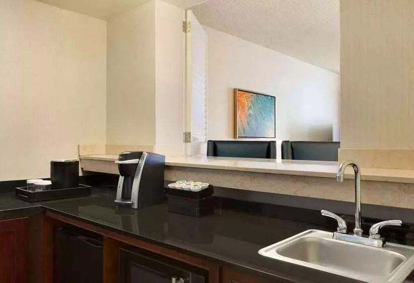 سوئیت با تخت بزرگ, Embassy Suites By Hilton San Luis Obispo