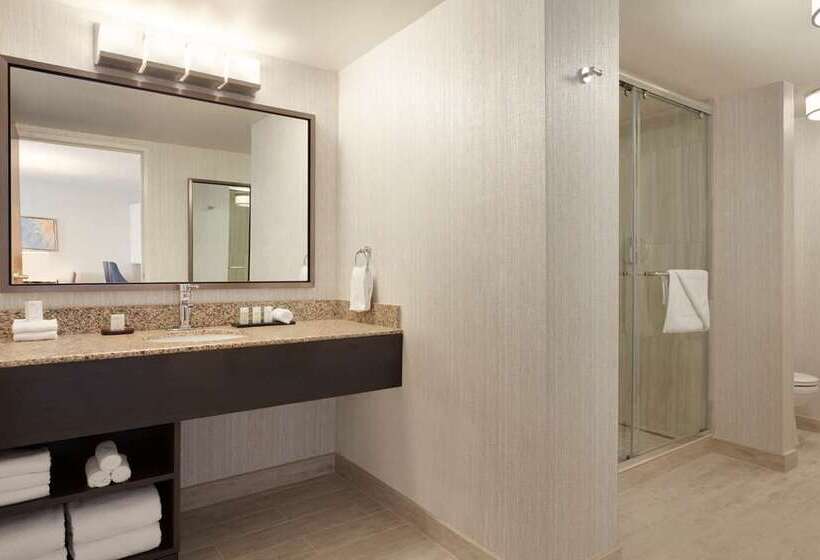 스위트 킹사이즈 침대, Embassy Suites By Hilton San Luis Obispo