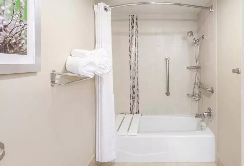 身障者適用スイートルーム, Holiday Inn Hotel & Suites Oklahoma City North, An Ihg
