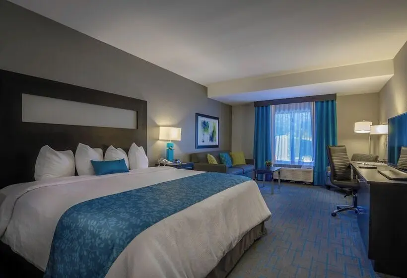 سوییت, Holiday Inn & Suites Syracuse Airport   Liverpool, An Ihg