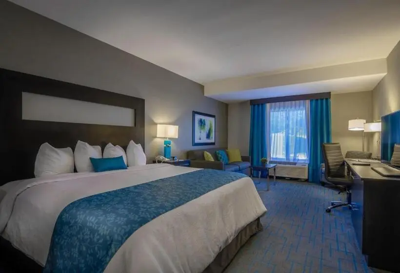 سوئیت با تخت بزرگ, Holiday Inn & Suites Syracuse Airport   Liverpool, An Ihg