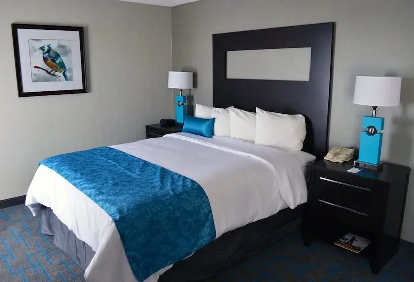 身障者適用スイートルーム, Holiday Inn & Suites Syracuse Airport   Liverpool, An Ihg