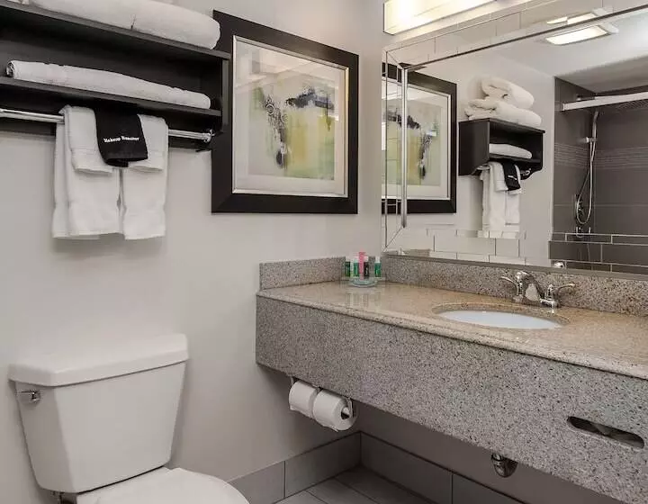 اتاق استاندارد, Holiday Inn & Suites Syracuse Airport   Liverpool, An Ihg
