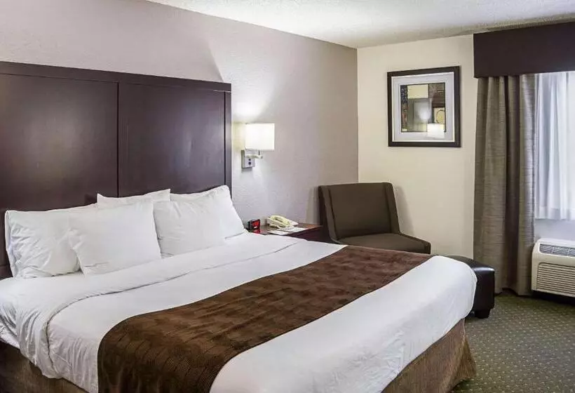 キングサイズベッドのスタンダードルーム, Quality Inn & Suites Clackamas   Portland