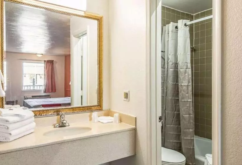 キングサイズベッドのデラックスルーム, Motel 6 Portsmouth, Va