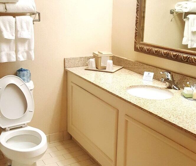 스탠다드 룸 더블 침대 2개, Best Western Hickory