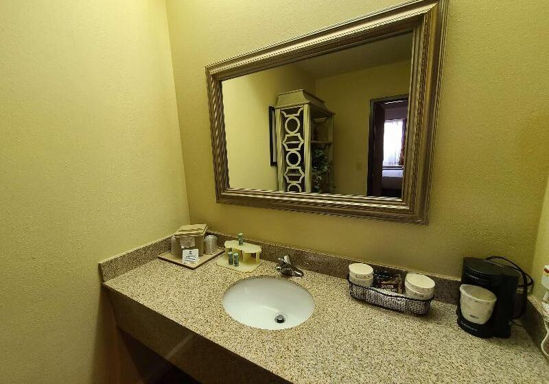 غرفة قياسية سرير كينج, Best Western Hickory