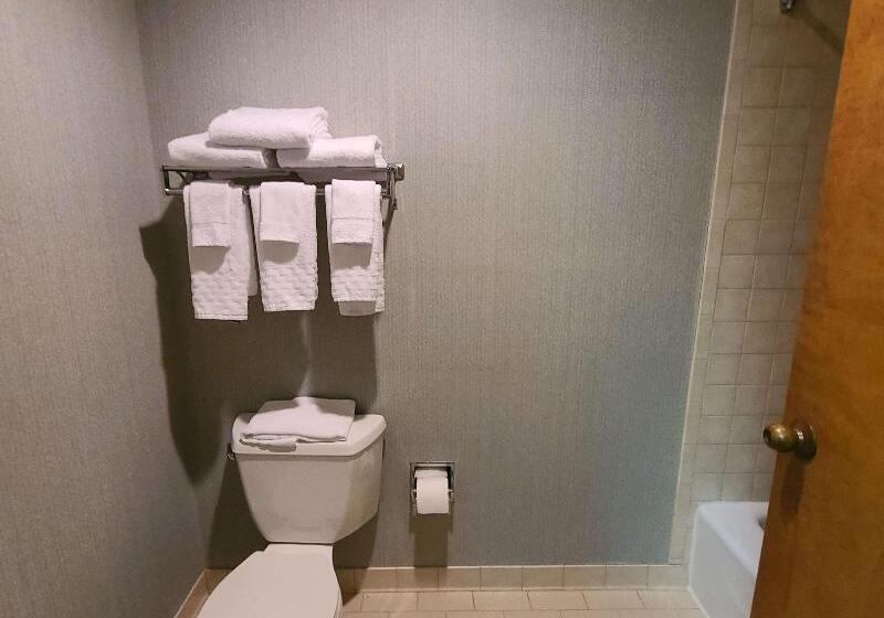 غرفة قياسية سرير كينج, Best Western Hickory