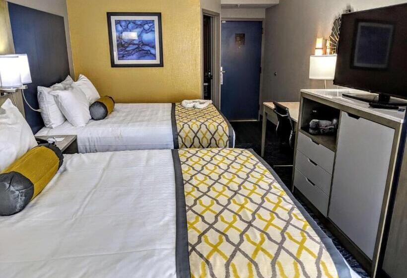 غرفة قياسية, Best Western Plus Bloomington East