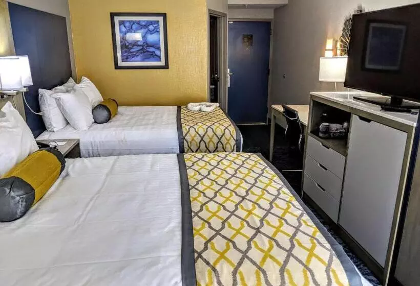 اتاق استاندارد, Best Western Plus Bloomington East