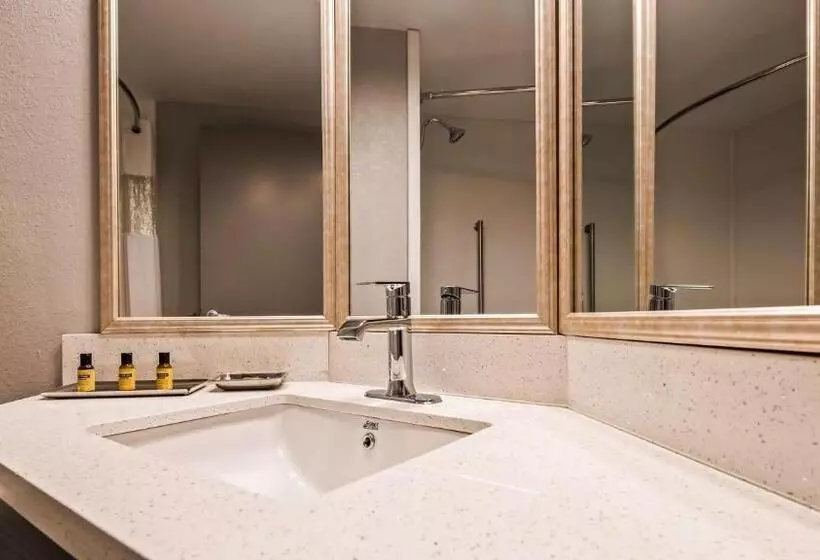 سوئیت با تخت بزرگ, Best Western Plus Bloomington East