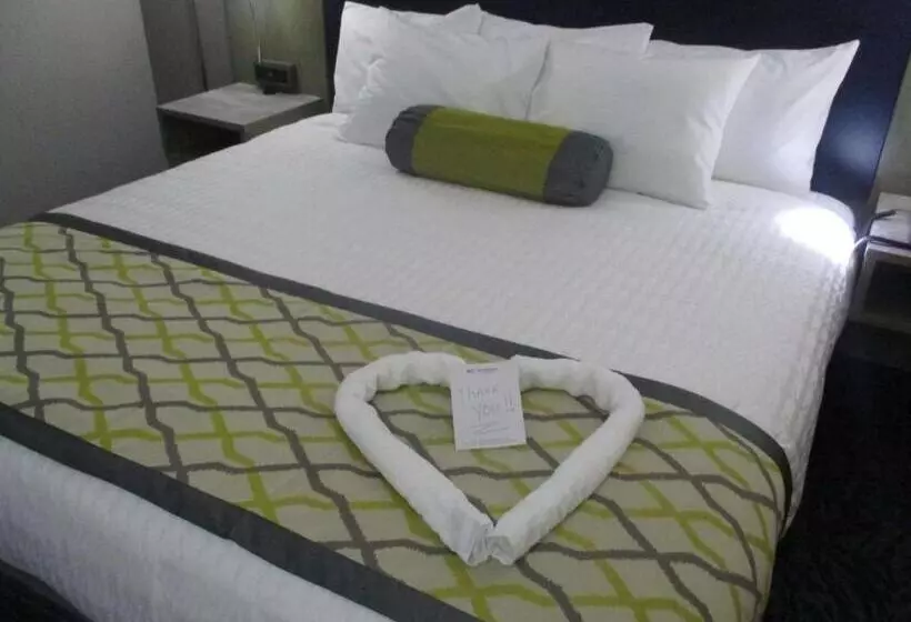سوئیت با تخت بزرگ, Best Western Plus Bloomington East