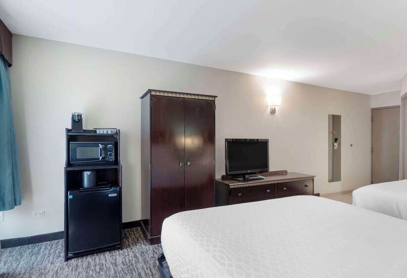 اتاق استاندارد با 2 تخت دوبل, Best Western Plus Chicagoland  Countryside