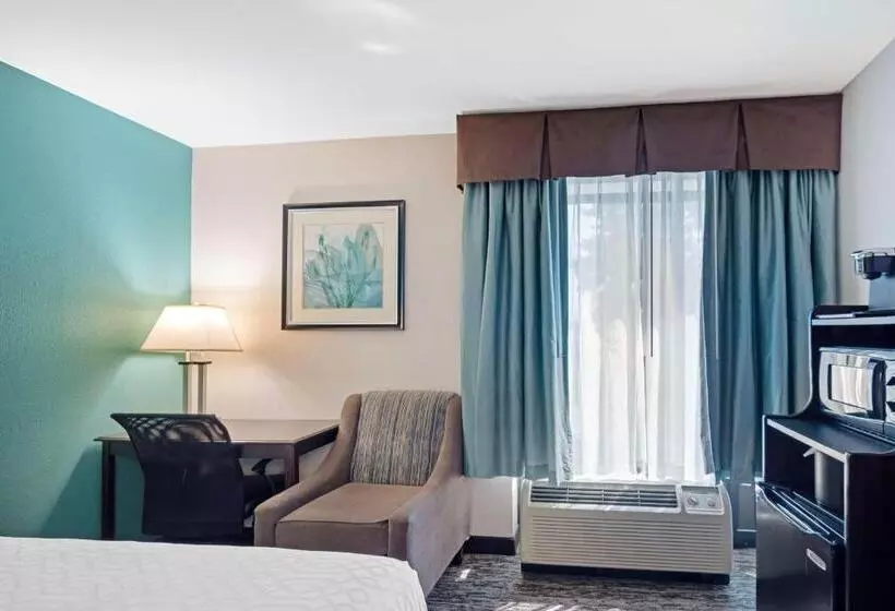 Standard-huone 2 Parivuodetta, Best Western Plus Chicagoland Countryside