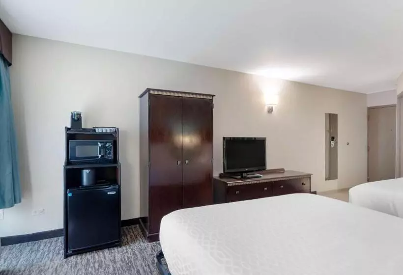 Standard-huone 2 Parivuodetta, Best Western Plus Chicagoland Countryside