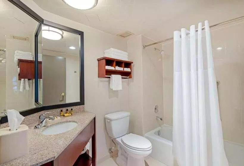 Standard-huone King-vuode, Best Western Plus Chicagoland Countryside