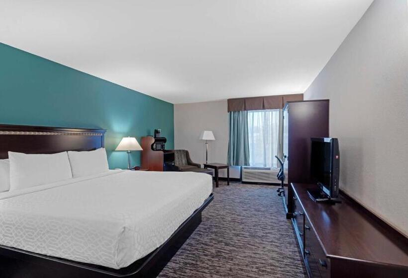 Quarto Standard Cama King, Best Western Plus Chicagoland  Countryside