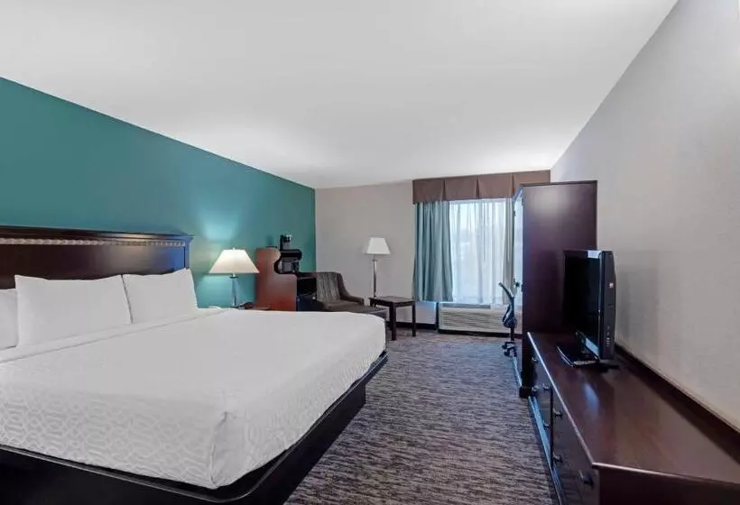 Standard-huone King-vuode, Best Western Plus Chicagoland Countryside