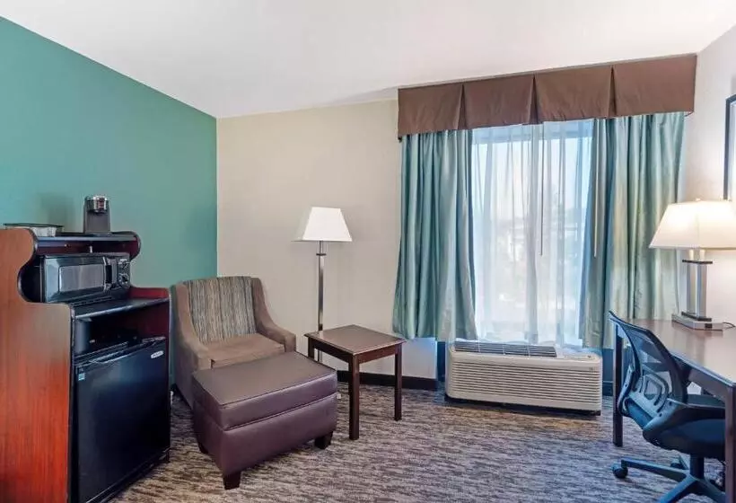 Standard-huone King-vuode, Best Western Plus Chicagoland Countryside