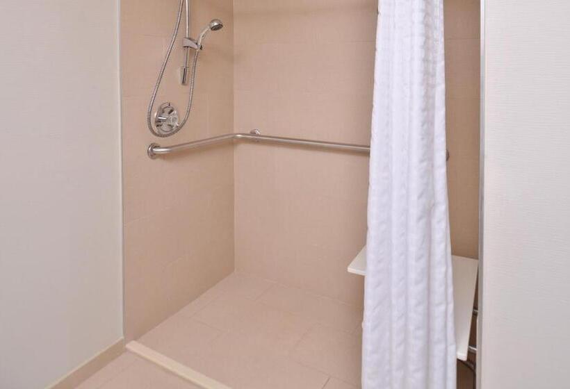 اتاق استاندارد با تخت بزرگ برای معلولان, Best Western Plus Chicagoland  Countryside