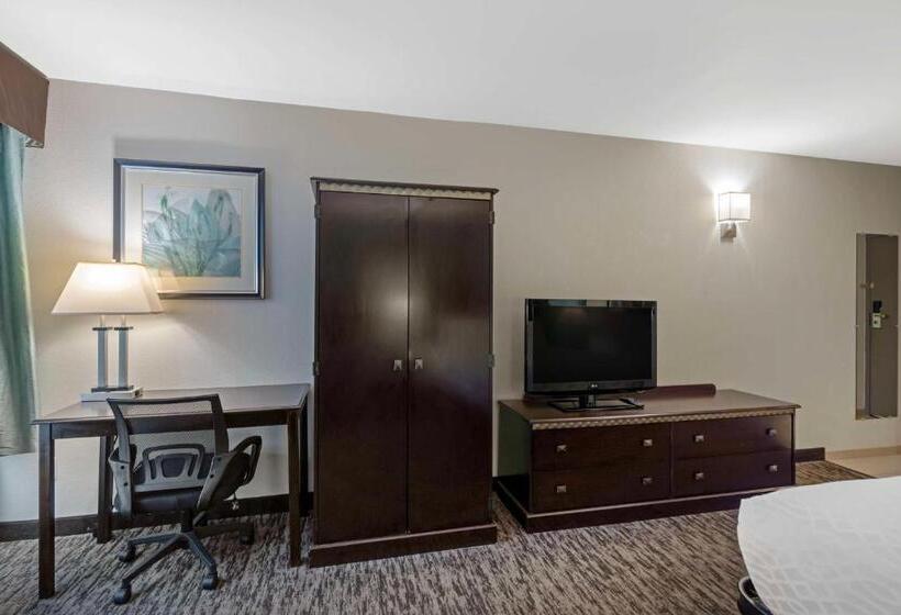 اتاق استاندارد با تخت بزرگ برای معلولان, Best Western Plus Chicagoland  Countryside