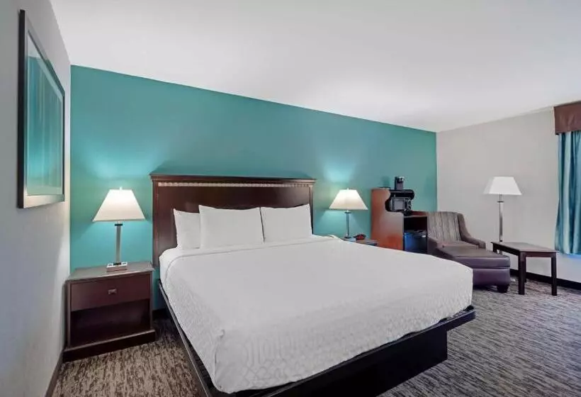 Standard-invahuone King-vuode, Best Western Plus Chicagoland Countryside