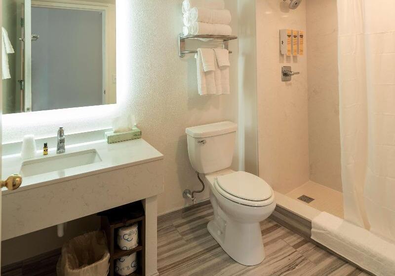 스탠다드 룸, Best Western Plus Wausau Tower Inn