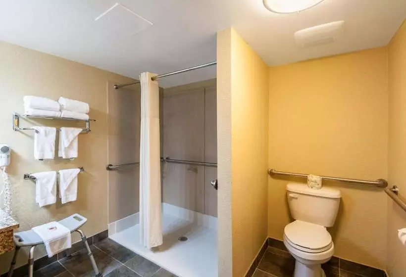 身障者適用スタンダードルーム, Econo Lodge Hagerstown I 81
