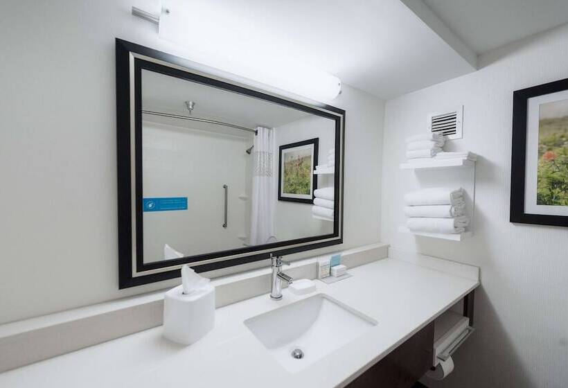 Номер Стандарт 2 Двуспальные Кровати, Hampton Inn Meridian