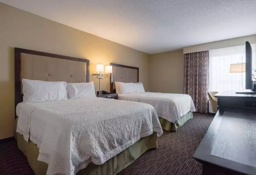 اتاق استاندارد با 2 تخت دوبل, Hampton Inn Meridian
