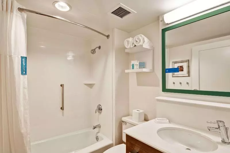 身障者適用キングサイズベッドルーム, Hampton Inn Milford