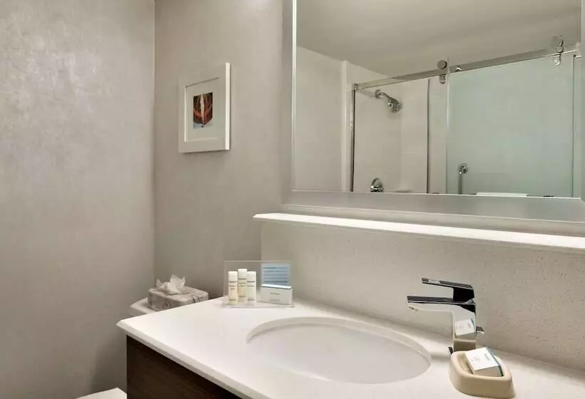 スタンダードスタジオ, Hampton Inn Philadelphia Mt. Laurel