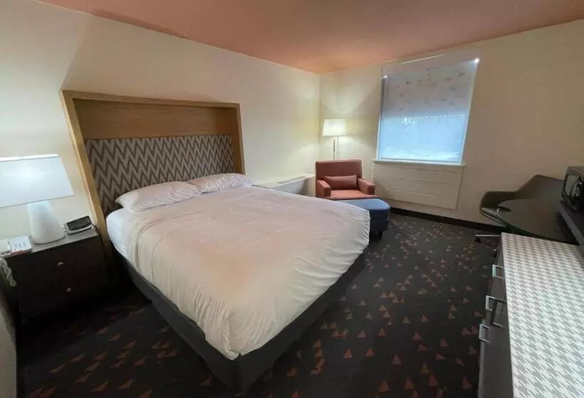 اتاق استاندارد, Holiday Inn Bangor, An Ihg