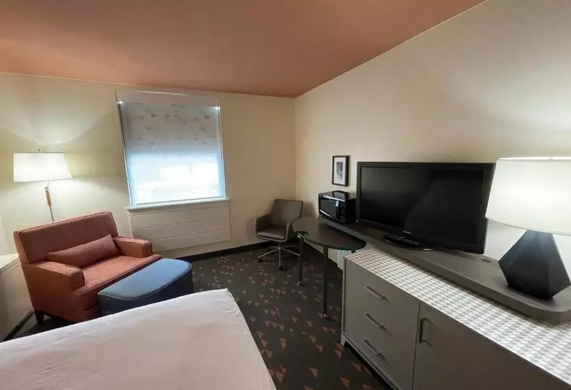 اتاق استاندارد, Holiday Inn Bangor, An Ihg