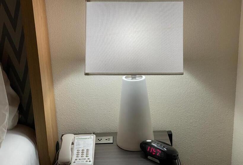 غرفة قياسية, Holiday Inn Bangor, An Ihg