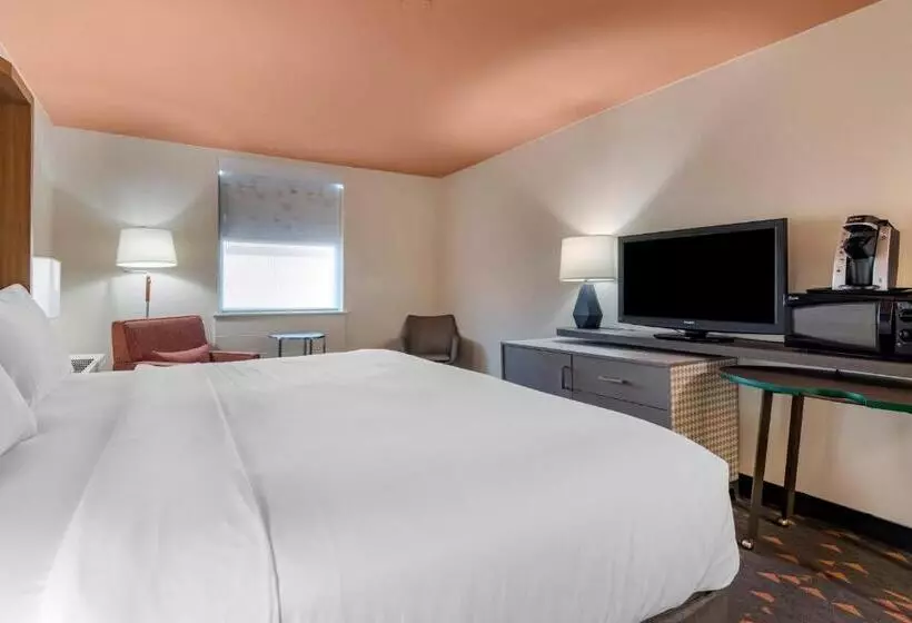 اتاق استاندارد با تخت بزرگ, Holiday Inn Bangor, An Ihg
