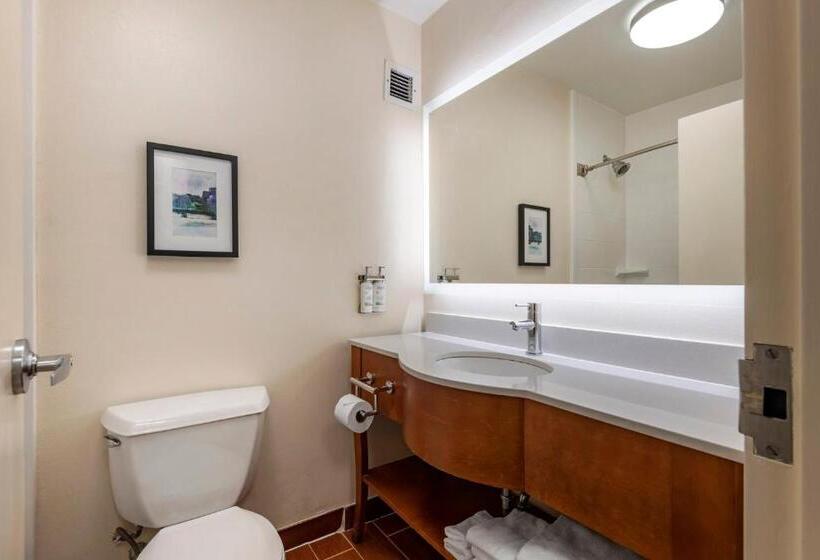 غرفة قياسية سرير كينج, Holiday Inn Bangor, An Ihg