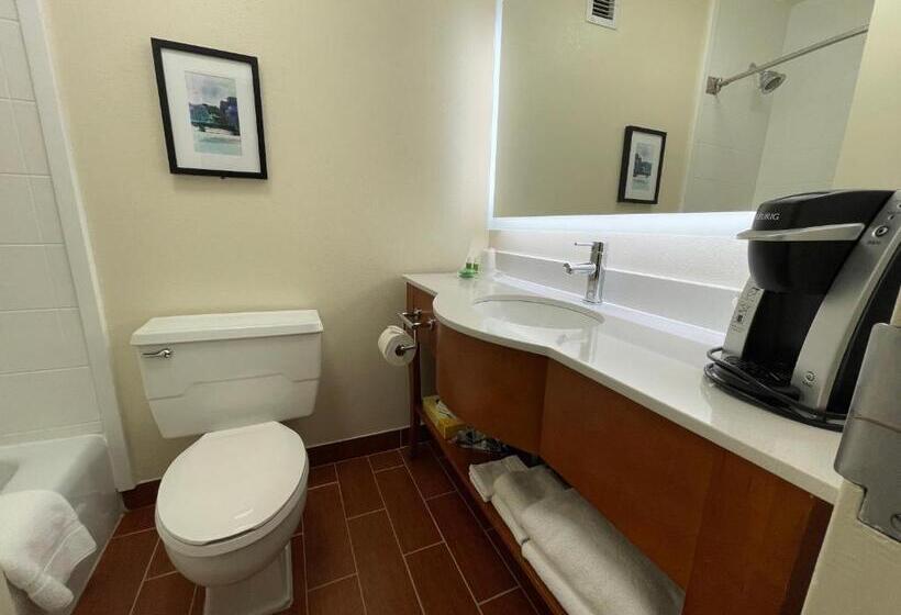 غرفة قياسية سرير كينج, Holiday Inn Bangor, An Ihg