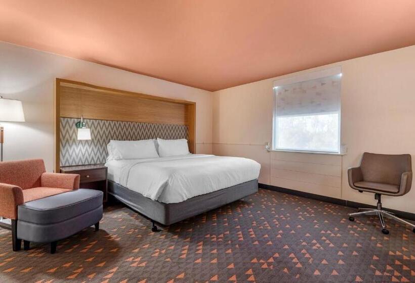 غرفة قياسية سرير كينج لذوى الإحتياجات الخاصة, Holiday Inn Bangor, An Ihg