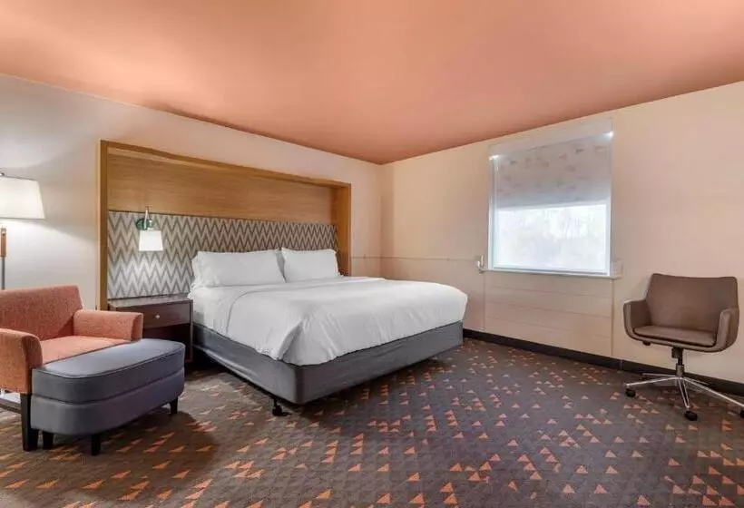 اتاق استاندارد با تخت بزرگ برای معلولان, Holiday Inn Bangor, An Ihg