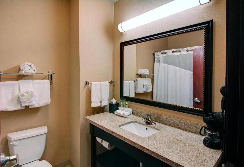 Стандартный Номер Кровать Кинг, Holiday Inn Express Hotel & Suites Paris, An Ihg