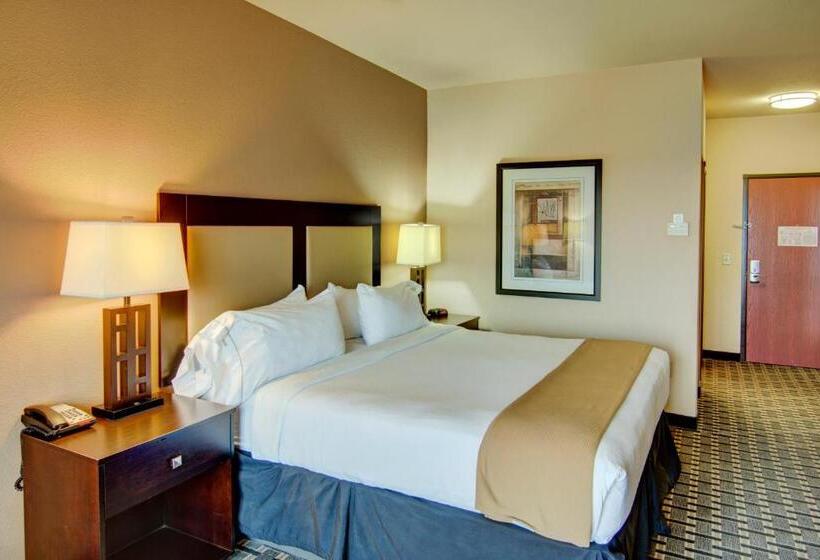 غرفة قياسية سرير كينج, Holiday Inn Express Hotel & Suites Paris, An Ihg