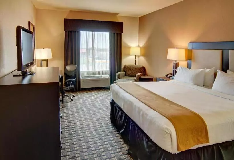 Standard-invahuone King-vuode, Holiday Inn Express Hotel & Suites Paris, An Ihg